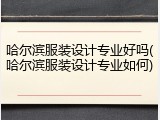 哈尔滨服装设计专业好吗(哈尔滨服装设计专业如何)