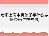 考不上高中男孩子学什么专业最好(男技专选)