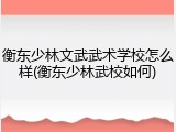 衡东少林文武武术学校怎么样(衡东少林武校如何)