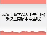 武汉工商学院收中专生吗(武汉工商招中专生吗)