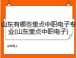 山东有哪些重点中职电子专业(山东重点中职电子)