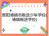 贵阳清镇市叛逆少年学校(清镇叛逆学校)
