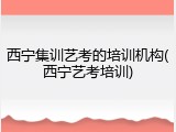 西宁集训艺考的培训机构(西宁艺考培训)