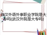 武汉外语外事职业学院是大专吗(武汉外院是大专吗)