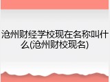 沧州财经学校现在名称叫什么(沧州财校现名)