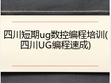 四川短期ug数控编程培训(四川UG编程速成)