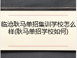 临沧耿马单招集训学校怎么样(耿马单招学校如何)