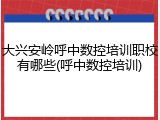 大兴安岭呼中数控培训职校有哪些(呼中数控培训)