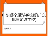 广东哪个足球学校好(广东优质足球学校)