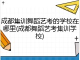 成都集训舞蹈艺考的学校在哪里(成都舞蹈艺考集训学校)