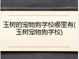 玉树的宠物狗学校哪里有(玉树宠物狗学校)