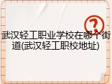 武汉轻工职业学校在哪个街道(武汉轻工职校地址)