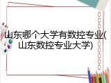 山东哪个大学有数控专业(山东数控专业大学)
