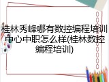 桂林秀峰哪有数控编程培训中心中职怎么样(桂林数控编程培训)