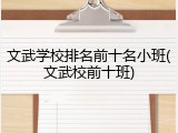 文武学校排名前十名小班(文武校前十班)