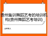 贵州集训舞蹈艺考的培训机构(贵州舞蹈艺考培训)
