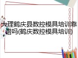 大理鹤庆县数控模具培训靠谱吗(鹤庆数控模具培训)