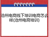 沧州电商线下培训电商怎么样(沧州电商培训)