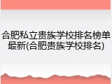 合肥私立贵族学校排名榜单最新(合肥贵族学校排名)