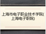 上海市电子职业技术学院(上海电子职院)