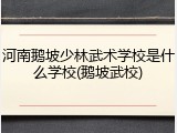 河南鹅坡少林武术学校是什么学校(鹅坡武校)