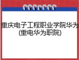 重庆电子工程职业学院华为(重电华为职院)