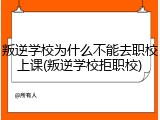 叛逆学校为什么不能去职校上课(叛逆学校拒职校)