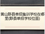 黄山黟县单招集训学校在哪里(黟县单招学校位置)