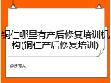 铜仁哪里有产后修复培训机构(铜仁产后修复培训)