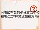 河南最有名的少林文武学校在哪里(少林文武校在河南)