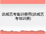 武威艺考集训费用(武威艺考培训费)