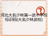 河北大名少林第一武术学校标识码(大名少林武校)