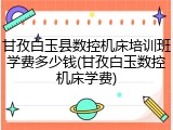 甘孜白玉县数控机床培训班学费多少钱(甘孜白玉数控机床学费)