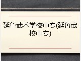 延鲁武术学校中专(延鲁武校中专)