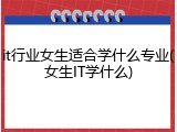 it行业女生适合学什么专业(女生IT学什么)