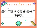 哪个足球学校最好(最佳足球学校)
