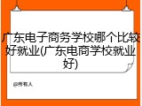 广东电子商务学校哪个比较好就业(广东电商学校就业好)