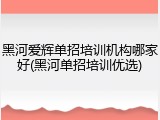 黑河爱辉单招培训机构哪家好(黑河单招培训优选)