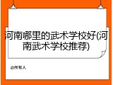 河南哪里的武术学校好(河南武术学校推荐)