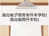 湖北电子商务专升本学校(湖北电商升本校)