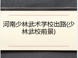河南少林武术学校出路(少林武校前景)
