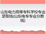 山东电力高等专科学校专业录取线(山东电专专业分数线)