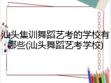 汕头集训舞蹈艺考的学校有哪些(汕头舞蹈艺考学校)