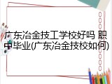 广东冶金技工学校好吗 职中毕业(广东冶金技校如何)