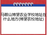 马鞍山博望农业学校地址在什么地方(博望农校地址)