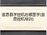 宣恩县学挖机在哪里学(宣恩挖机培训)
