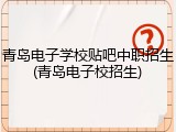 青岛电子学校贴吧中职招生(青岛电子校招生)