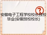 安徽电子工程学校校长技校毕业(安徽技校校长)