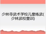 少林寺武术学校儿童练武(少林武校童训)