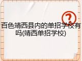 百色靖西县内的单招学校有吗(靖西单招学校)